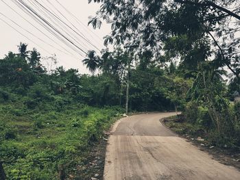 Road amidst trees against sky