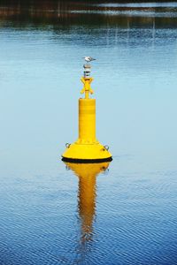 Yellow floating on water in lake
