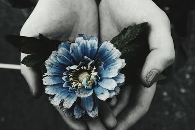 Close-up of woman hand holding bouquet