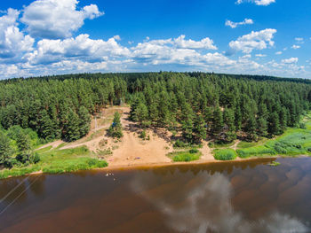 View of stream along plants on landscape