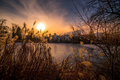 Bare trees by river against sky during sunset