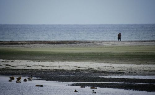 Man on beach against clear sky