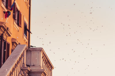 Low angle view of birds flying in building against sky