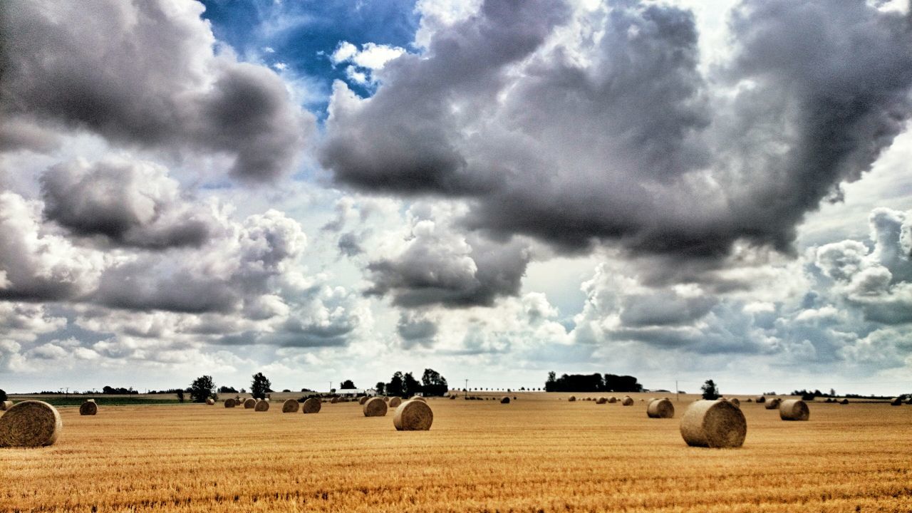 agriculture, sky, rural scene, field, landscape, cloud - sky, bale, farm, hay, harvesting, tranquil scene, cloudy, tranquility, crop, cloud, nature, scenics, beauty in nature, cultivated land, horizon over land