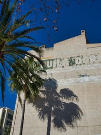 Low angle view of palm tree against building