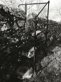 Full frame shot of chainlink fence