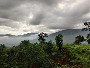 Scenic view of trees and mountains against sky