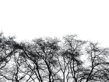 Low angle view of bare trees against clear sky