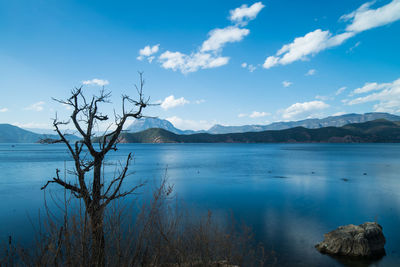 Scenic view of lake against sky