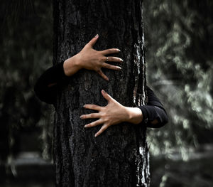 Midsection of woman standing by tree trunk in forest