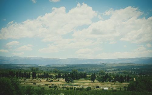 Scenic view of agricultural field against sky