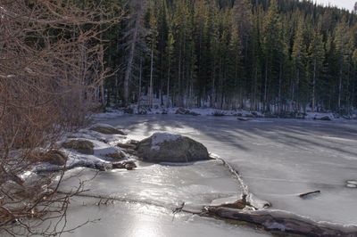 Scenic view of frozen lake in forest during winter