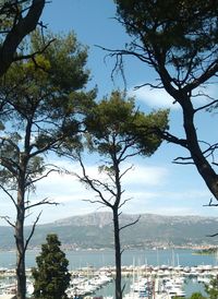 View of townscape by sea against sky