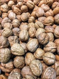 Full frame shot of walnuts