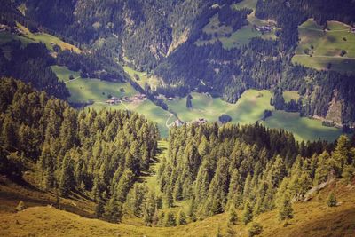 Panoramic view of trees and mountains against sky