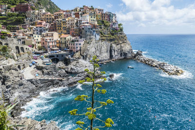 Aerial view of manarola in the cinque terre