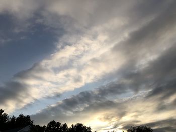 Low angle view of silhouette trees against sky