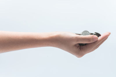 Close-up of hand holding leaf over white background