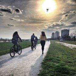 Man riding bicycle on road