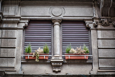 Low angle view of window of building