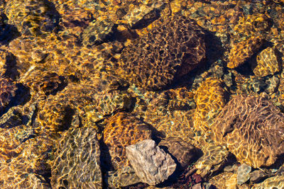 Full frame shot of sea and rock