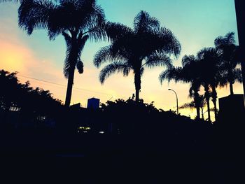 Silhouette trees against sky during sunset