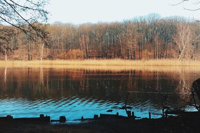 Reflection of trees in lake