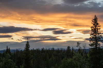 Scenic view of dramatic sky over forest during sunset