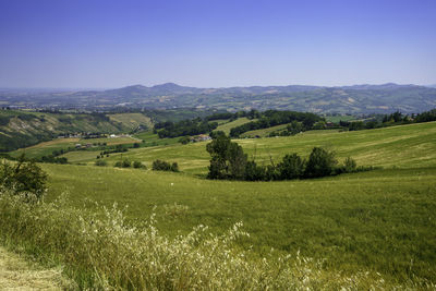 Scenic view of landscape against clear sky