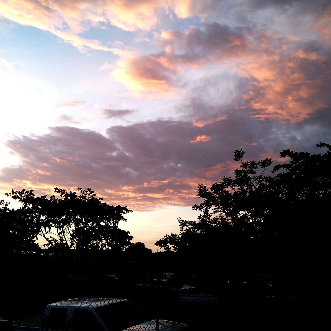 SILHOUETTE OF TREES AGAINST CLOUDY SKY AT SUNSET