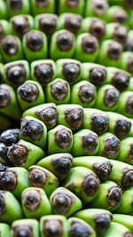 Full frame shot of blueberries