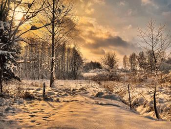 Bare trees on snowy field against sky during sunset