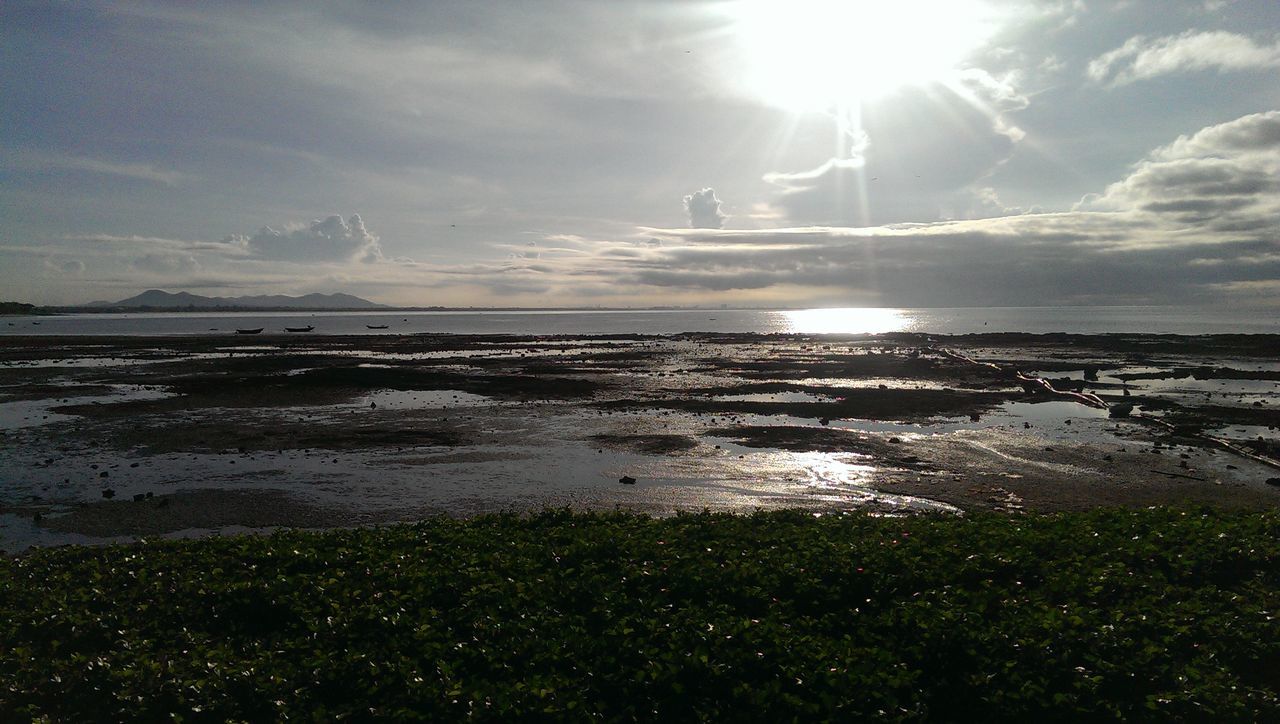 sun, water, sunbeam, sea, sunlight, tranquil scene, lens flare, tranquility, beach, scenics, sky, beauty in nature, reflection, shore, horizon over water, nature, sunny, idyllic, bright, cloud - sky