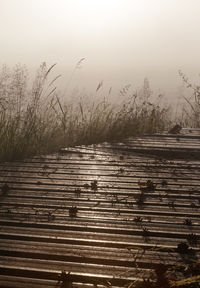 Steps against clear sky