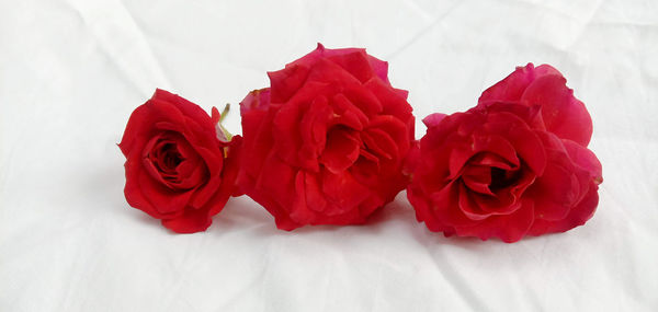 High angle view of rose bouquet