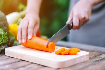 Midsection of person preparing food on cutting board