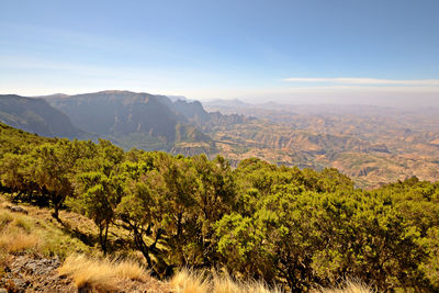 Scenic view of landscape against sky