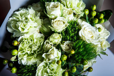 Close-up of white roses on plant