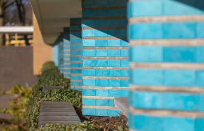Close-up of plant against building