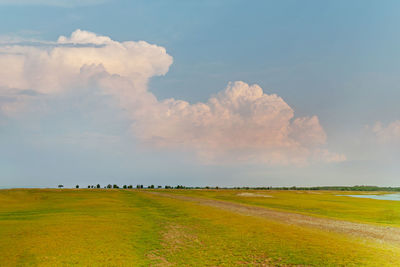 Scenic view of field against sky