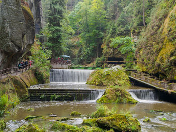 Stream flowing through rocks in forest