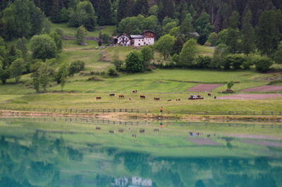 Scenic view of lake