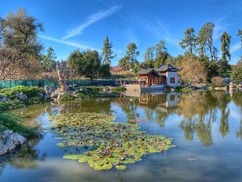 Scenic view of lake by trees and building against sky