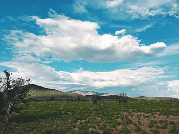 Scenic view of landscape against cloudy sky