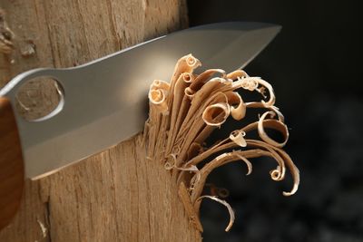 Close-up of knife with wood shavings