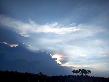 Low angle view of silhouette trees against sky