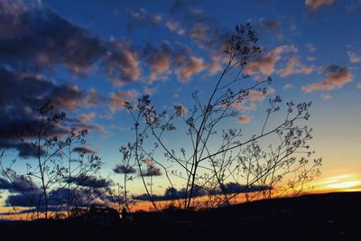 Scenic view of landscape at sunset