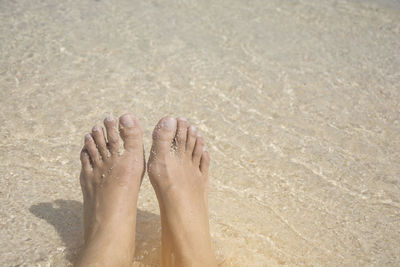 Low section of person feet on sand