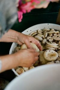 Close-up of person washing mushrooms in container