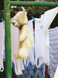 Close-up of clothes drying on rope